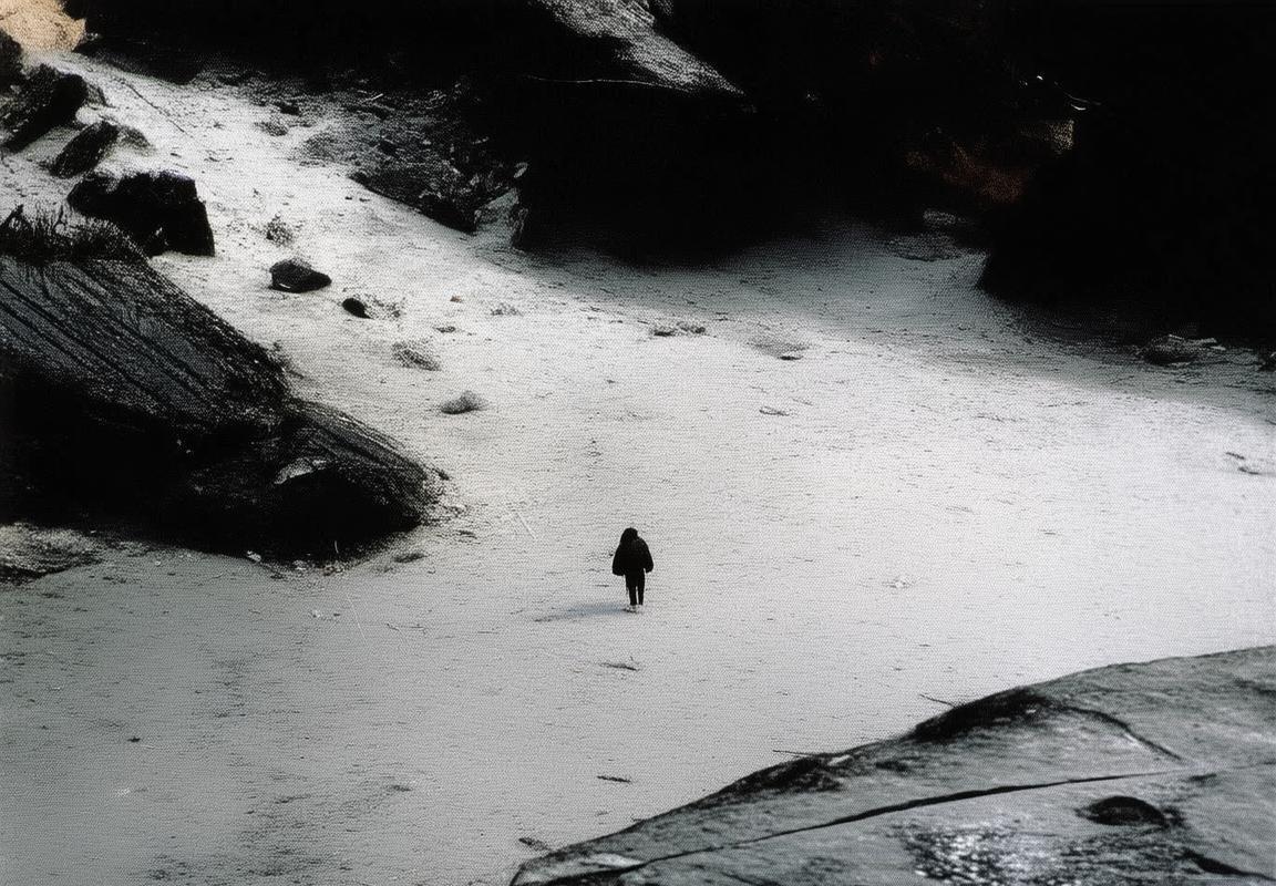 曼联引援锁定伯恩茅斯双星：菲利普·比林与刘易斯·库克能否实现中场补强？
