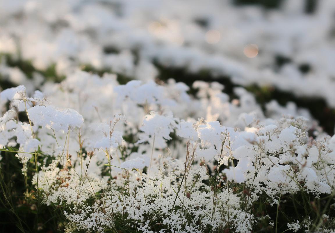 国际米兰强势领跑意甲争冠，拜仁慕尼黑意外失分，曼城紧逼英超积分榜